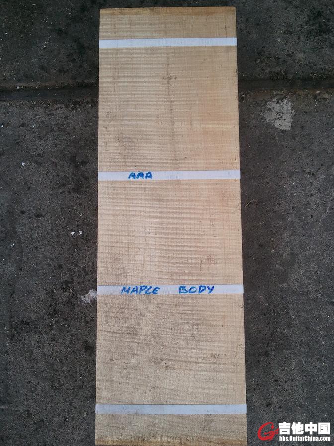 AAA MAPLE EG bady-4.JPG