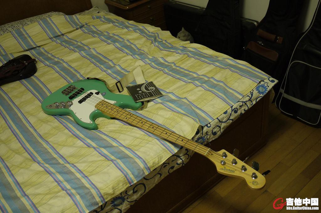 P1140526_.JPG