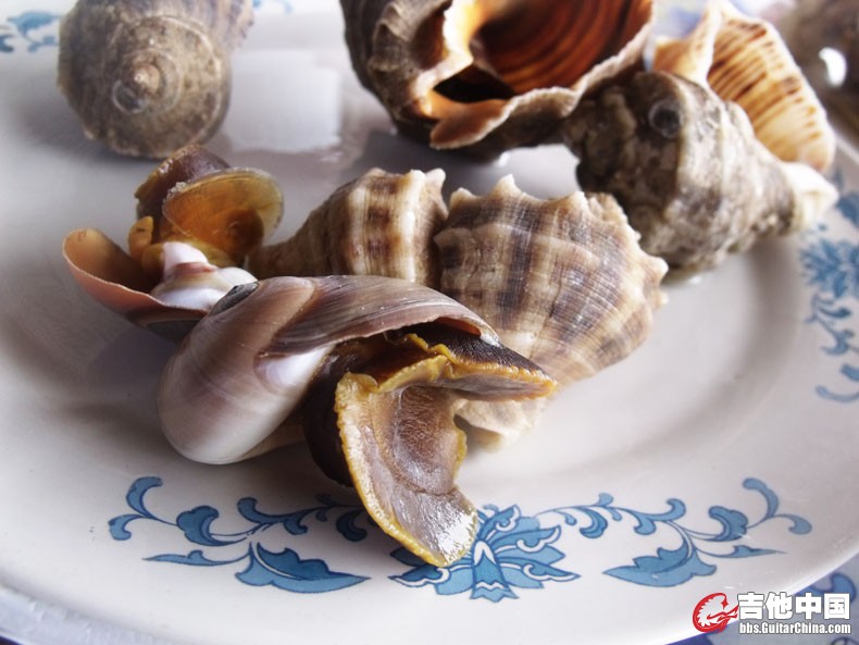 2012_43海螺肉永远是我的最爱！.JPG