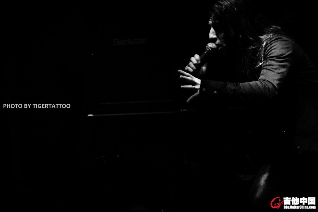 tigertattoo-9783.jpg