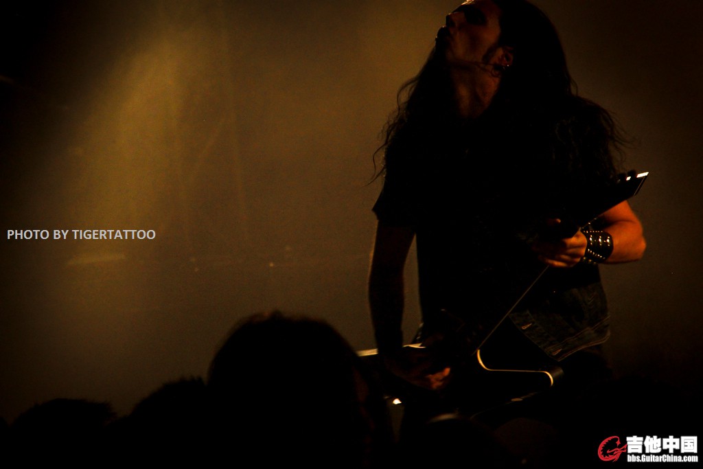 tigertattoo-9781.jpg
