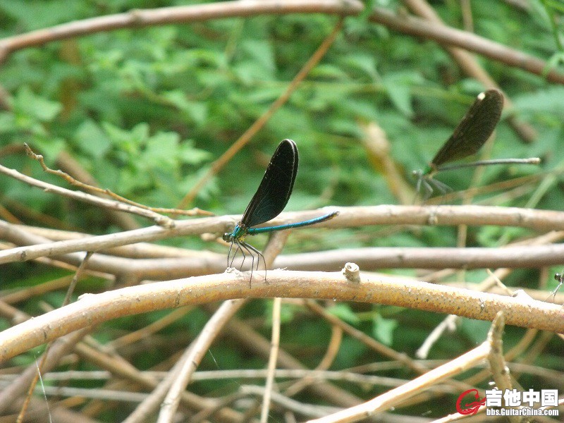 DSCF0545.JPG