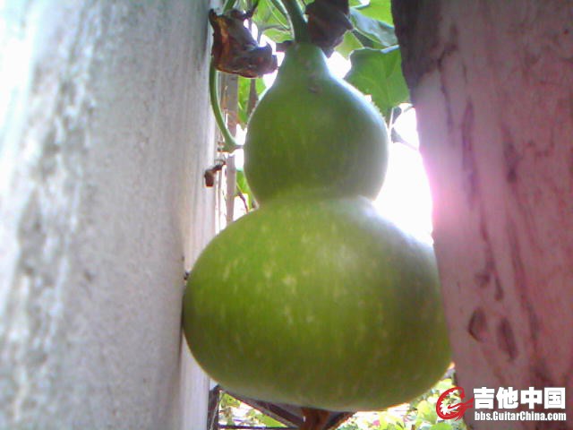 20120827A008.jpg