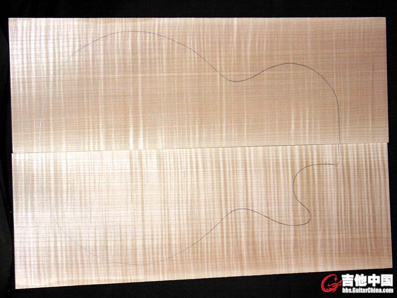 AAA Curly Maple Large.jpg