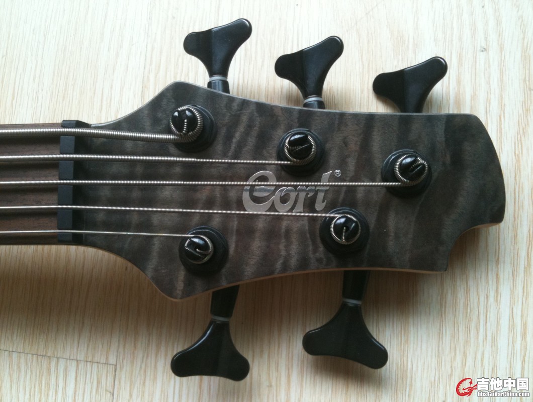 CORT T75 (5).jpg