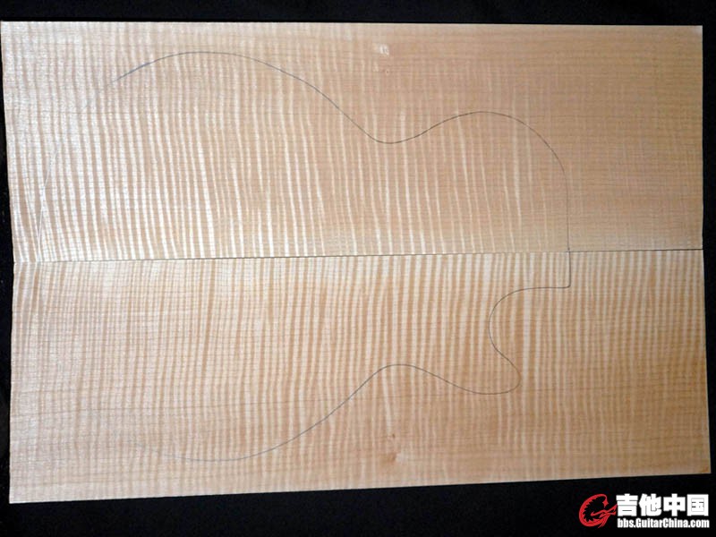 AAAA Curly Maple Large.jpg