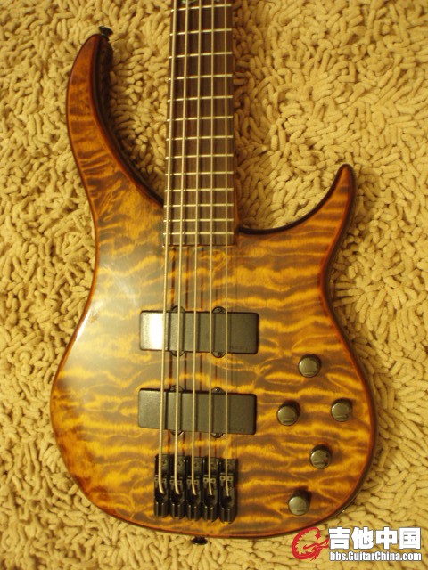 peavey bxp (4).JPG