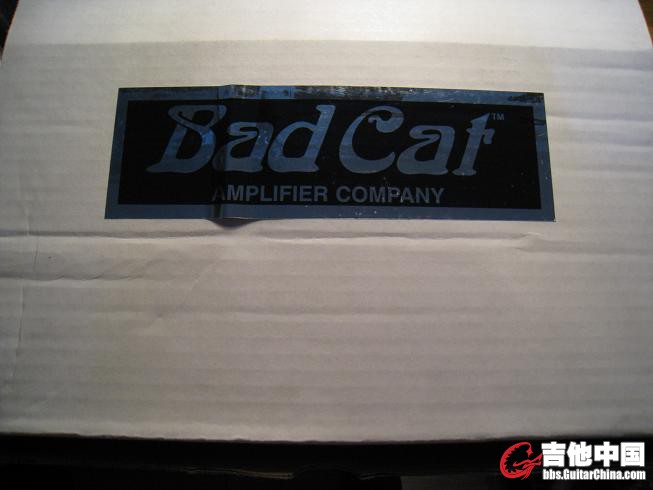 BADCAT PRS 001.jpg