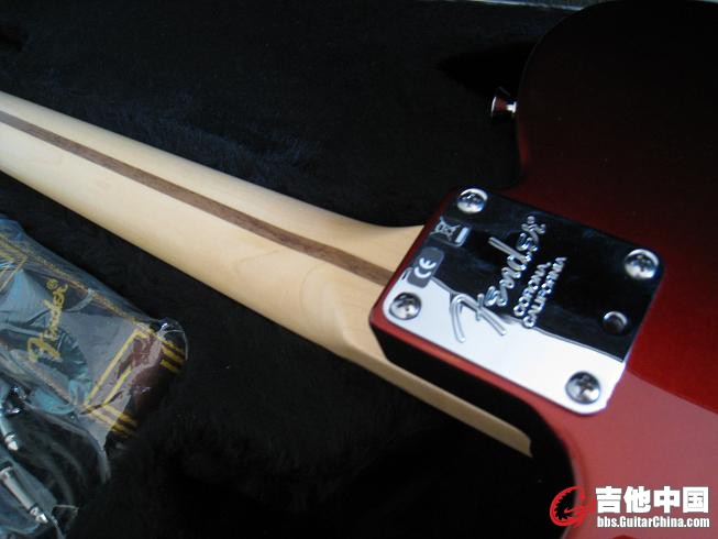 fender 0502 013.jpg