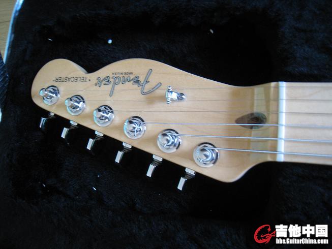 fender 0502 009.jpg