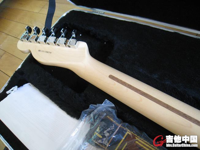 fender 0502 014.jpg