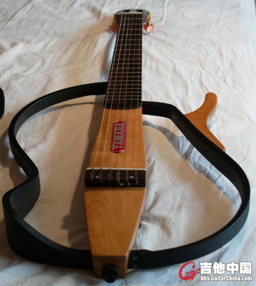 partible guitar 11.JPG