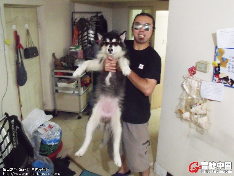 胖墩5个月.jpg