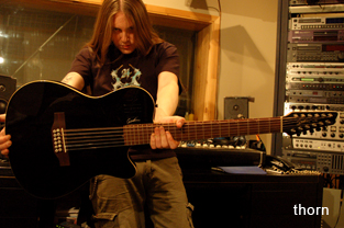 12-string acoustic sound when plugged in and used artistnews_thorn_247.jpg