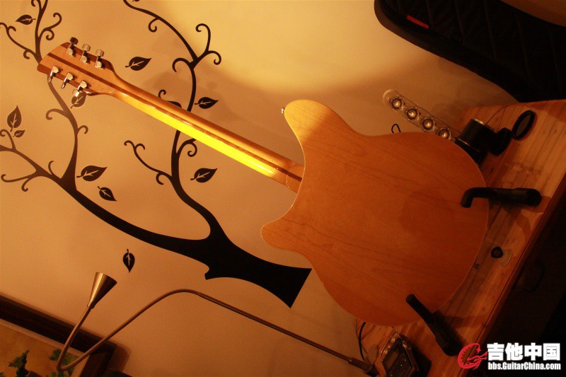 94‘Rickenbacker 360-04.JPG