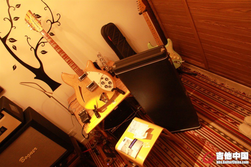 94‘Rickenbacker 360-022.JPG