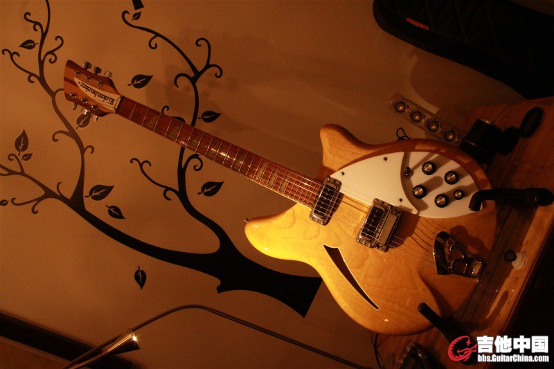 94‘Rickenbacker 360-01.JPG