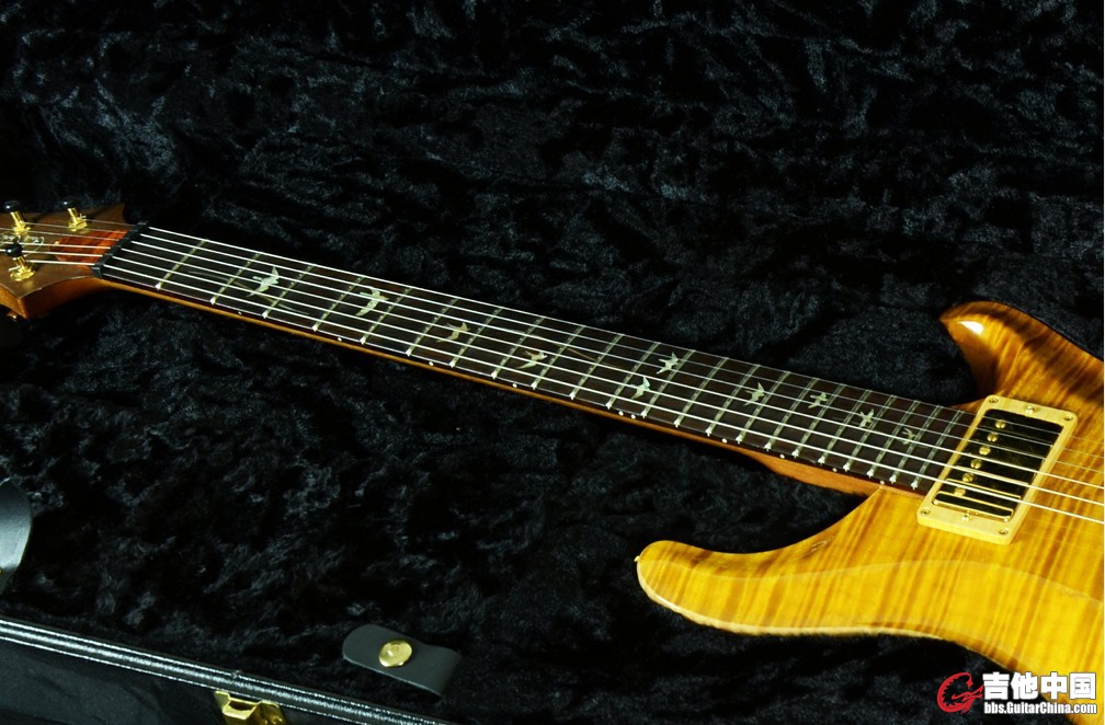 p229.jpg