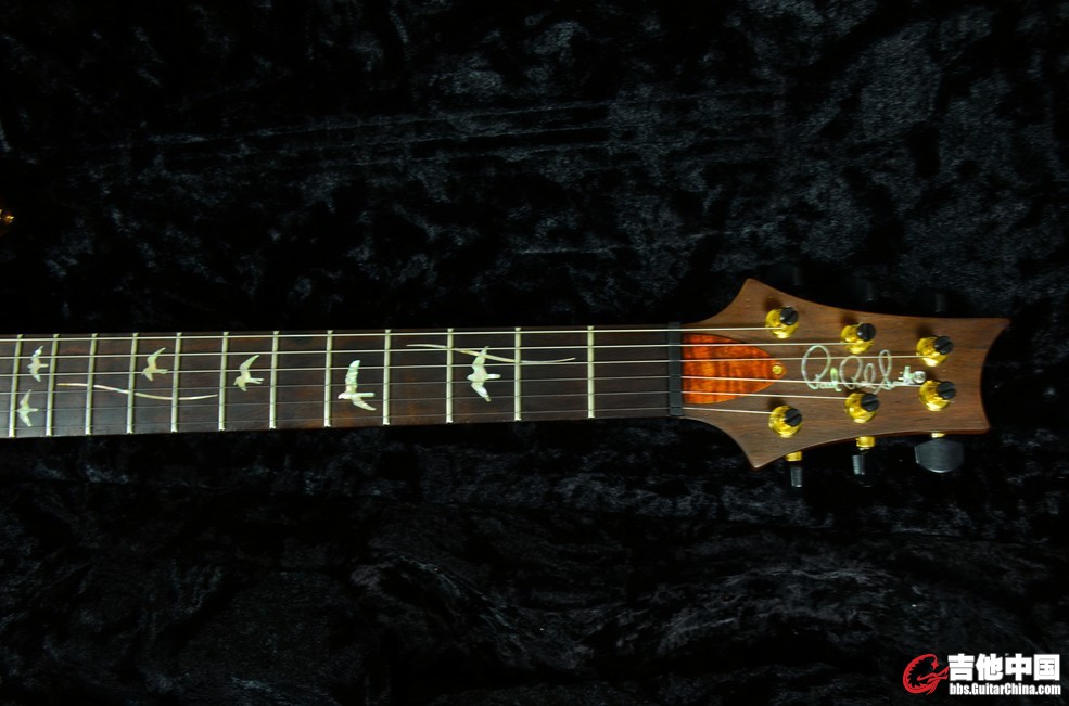 p227.jpg