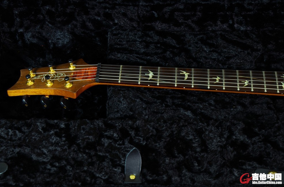 p226.jpg