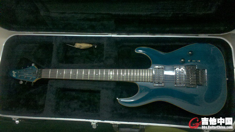 ESP HORIZON CUSTOM 1.jpg