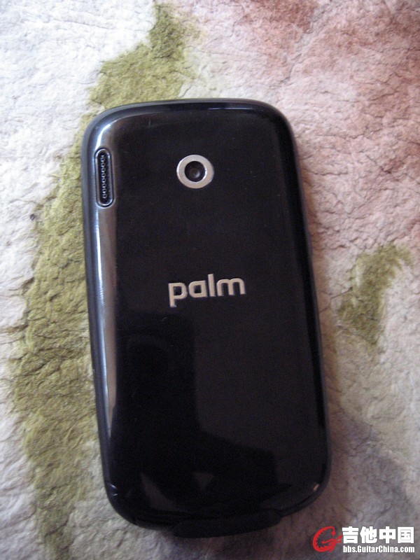 palm85002.jpg