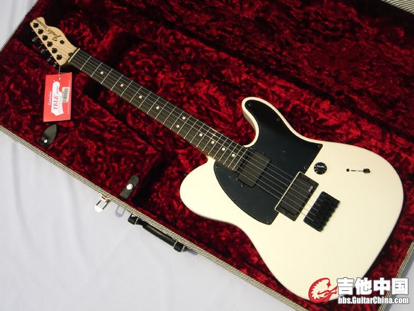 fender-jim-root-telecaster-white-ebony-344569.jpg