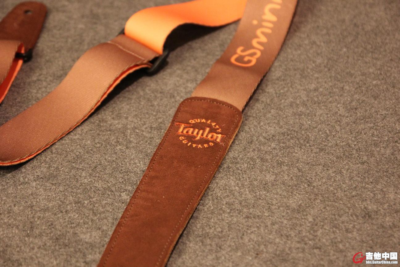 gsmini_strap.JPG