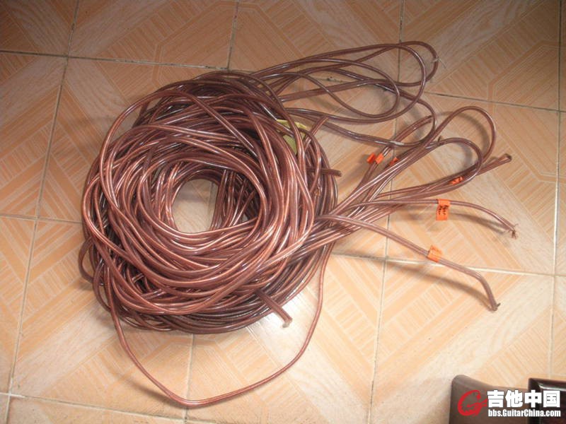 RIMG3906.JPG