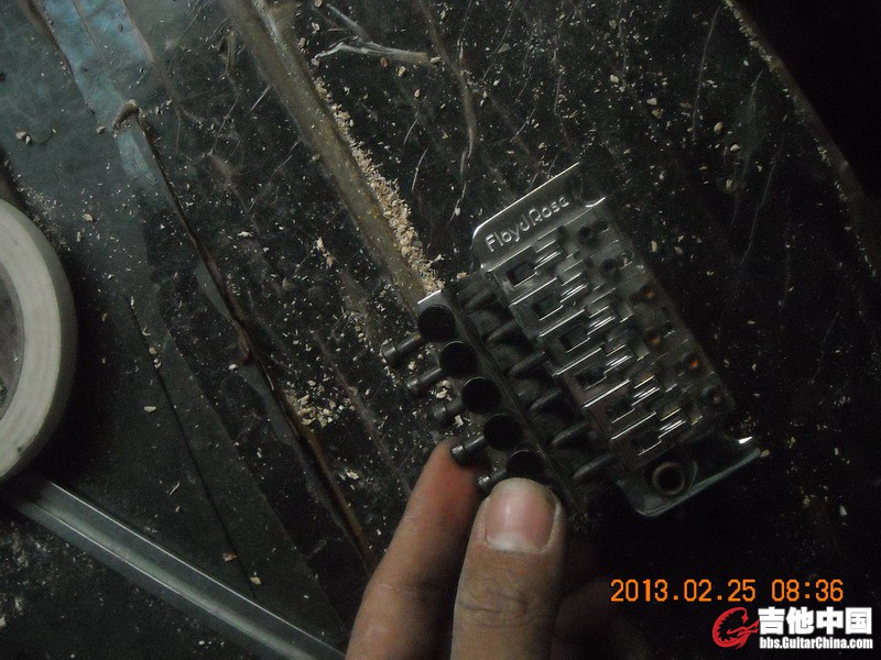 DSCN9865.JPG