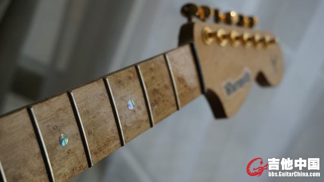 Warmoth 05.JPG