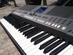 SNC00366.jpg