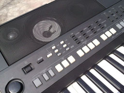 SNC00370.jpg