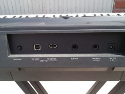 SNC00373.jpg
