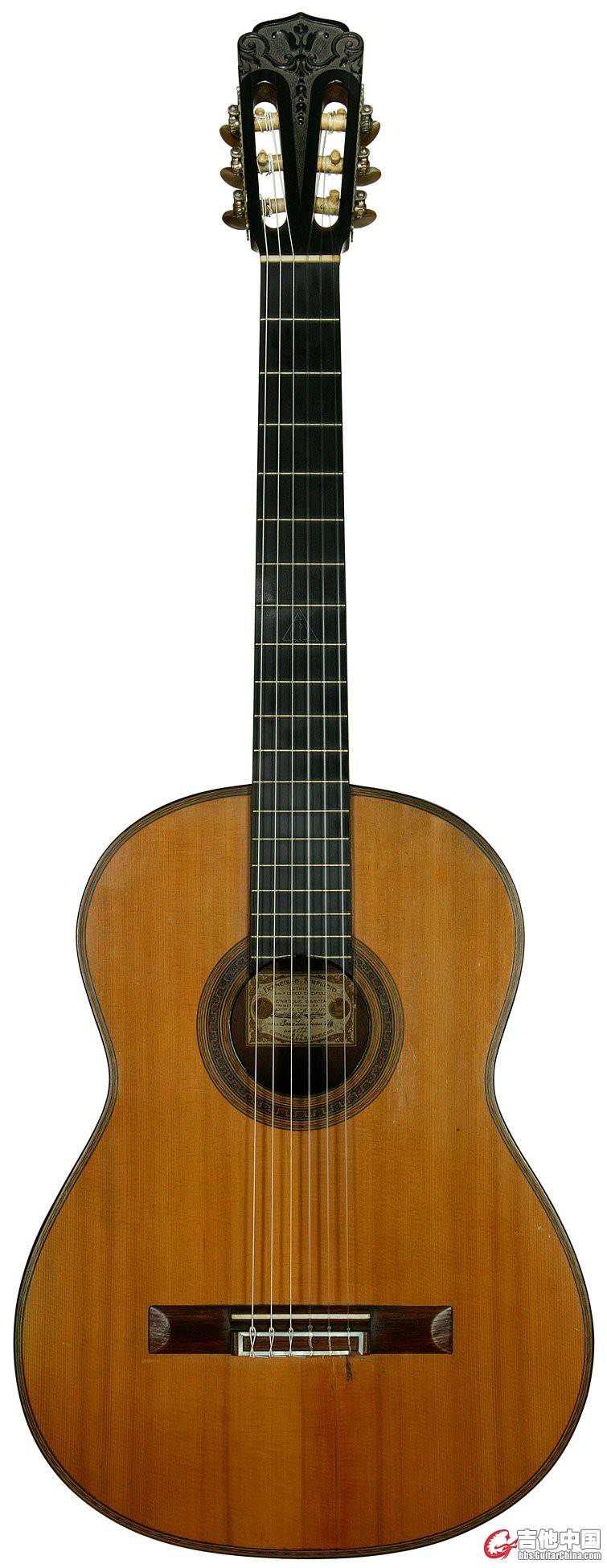 guitar_fr_lg_46.jpg