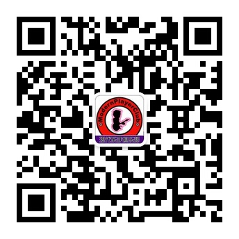 T2oB9TXblbXXXXXXXX_!!51370216.jpg