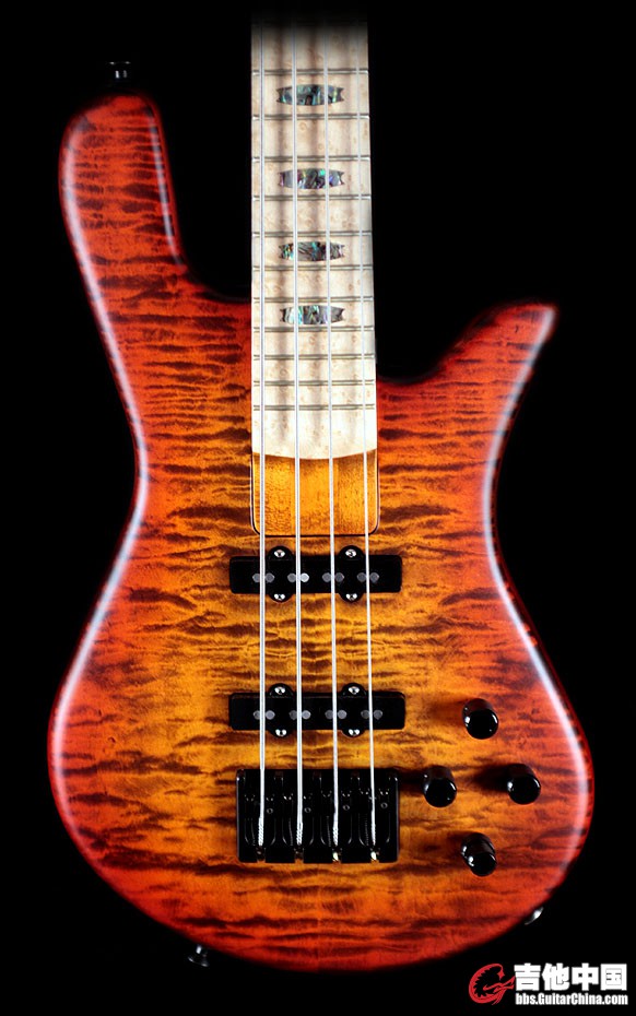 Spector_USA_NS4H JJ.jpg