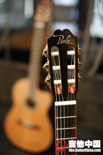 pavguitar_pavlo_logo_005.sized.jpg