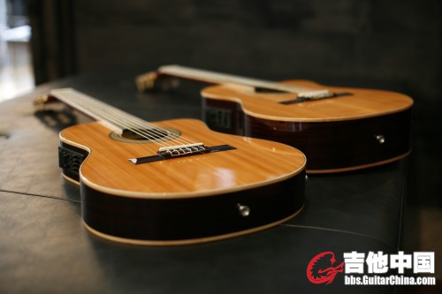 pavguitar_thick_thin_059.sized.jpg