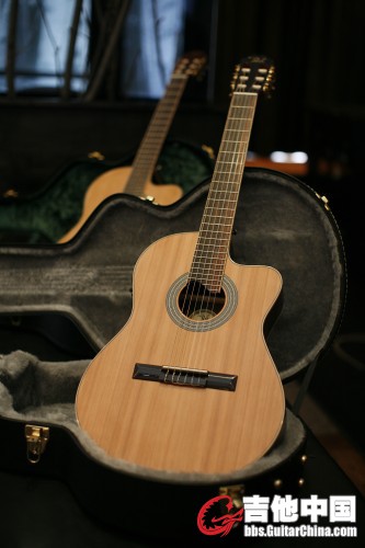 pavguitar_out_of_case_003.sized.jpg
