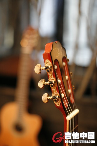 pavguitar_tunning_pegs_021.sized.jpg