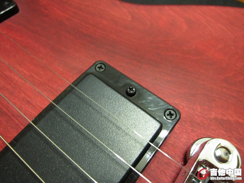 GIBSON LPJ (7).jpg