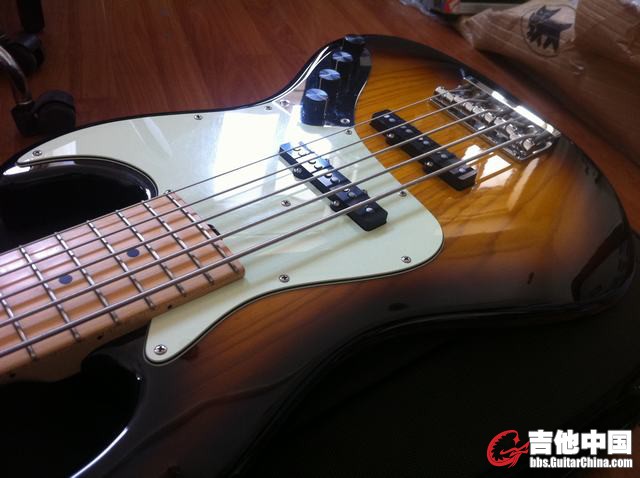SADOWSKY MV5 003.jpg
