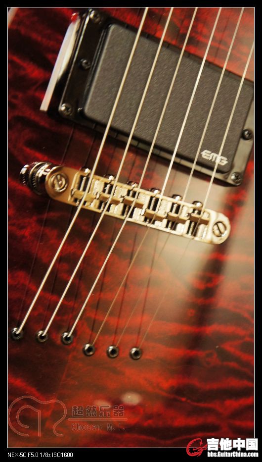 Damien Elite 7.jpg