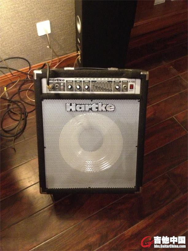 hartke a100(3).JPG