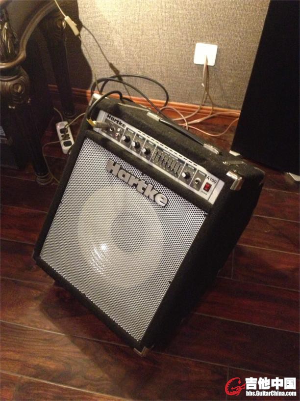 hartke a100.JPG