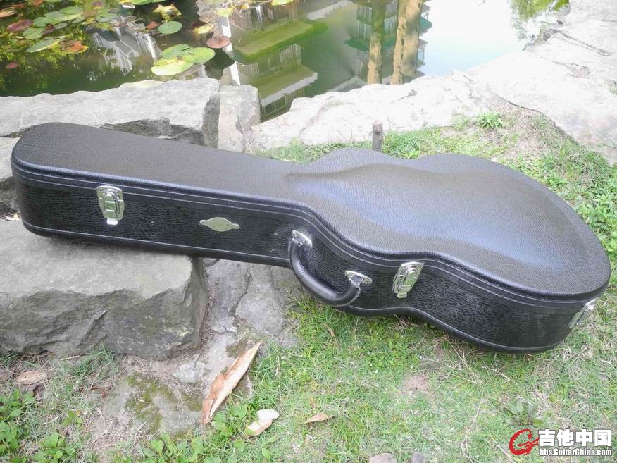 Taylor 314CE 和 Taylor GA3