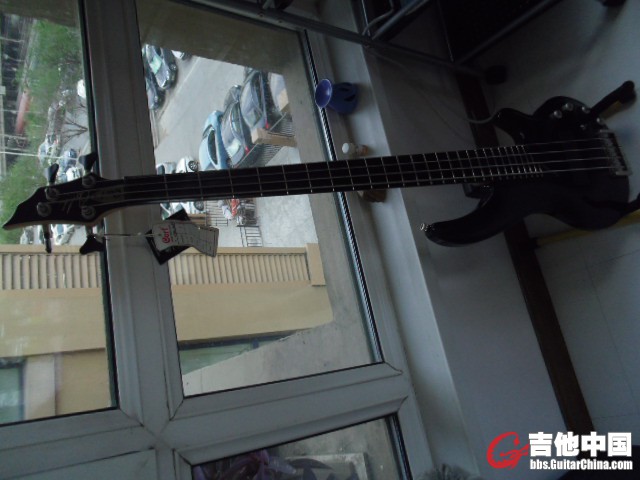IMGP0113.JPG