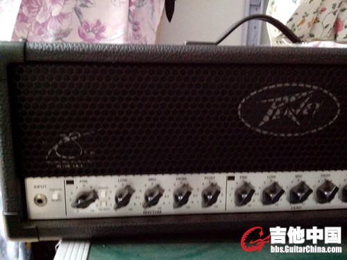 peavey2_副本.jpg