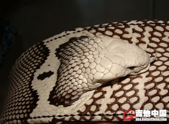 QQ图片20130707184817.jpg